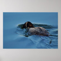 Snorkelling for dinner print