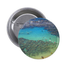 Snorklers at Hanauma Bay, Oahu, Hawaii Button