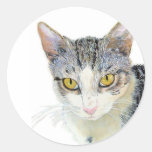 Snoshu the Cat Round Stickers