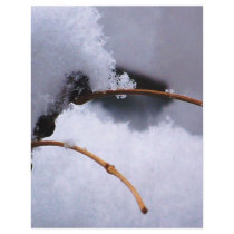 SNOW 11 FLYERS
