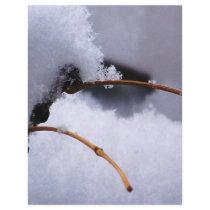 SNOW 11 LETTERHEAD DESIGN