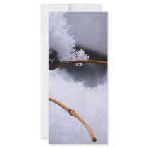 SNOW 11 RACK CARD