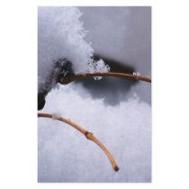 SNOW 11 CUSTOMIZED STATIONERY