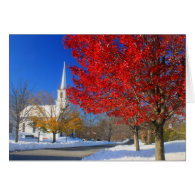 Snow and Foliage on Town Common Greeting Card