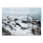 Snow and Rocks cards