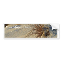 Snow At Sunrise At The Rim Of Bryce Canyon bumper stickers by lifesphere Snow At Sunrise At The Rim Of Bryce Canyon bumper stickers