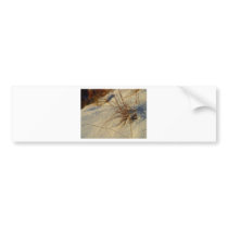 Snow At Sunrise At The Rim Of Bryce Canyon bumper stickers by lifesphere Snow At Sunrise At The Rim Of Bryce Canyon bumper stickers