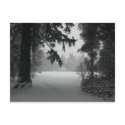 Snow at Vassar postcard