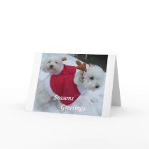 Snow Babys cards by wizardmorton Snow Babys cards