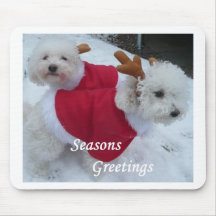 Snow Babys Mousepads