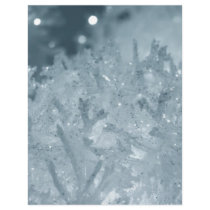 Snow balls 2 flyers