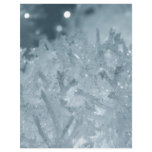 Snow balls 2 flyer