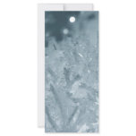 Snow balls 2 rack card design
