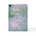 Snow balls cards by Boogybunny Snow balls cards