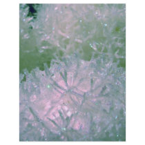 Snow balls flyer