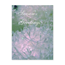 Snow balls postcards