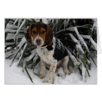 Snow Beagle - Cute Snoopy Dog Winter Greeting Card