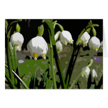 Snow Bells Cards