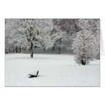 Snow bench and trees card
