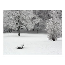 Snow bench and trees postcards