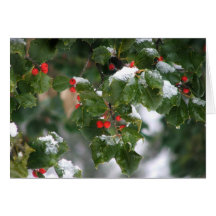 Snow Berries Greeting Cards