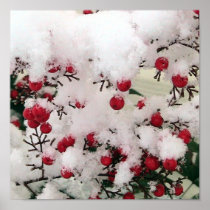 Snow Berries posters