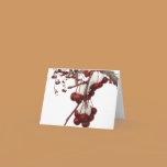 Snow Berry Card cards