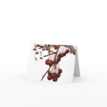 Snow Berry Card