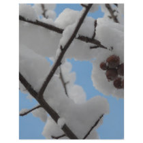 snow berry flyer