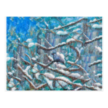 Snow Bird Post Cards