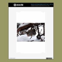 Snow Bird skins