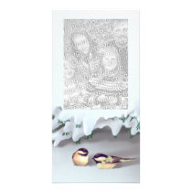 SNOW BIRDS by SHARON SHARPE photo cards