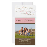 Snow Birds Merry Christmas Photocard (pink) Photo Card