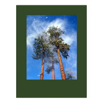 Snow blowing from pine posters