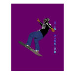 snow boarding, shaun white, halfpipe, halp pipe,