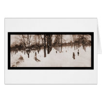 Snow Boston Common, MA Photo 1904 cards