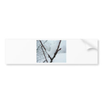 Snow Branch bumper stickers