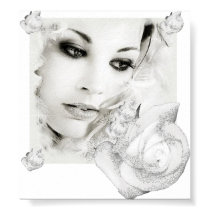 Snow Bride posters