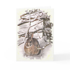 Snow Bunny Christmas card
