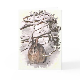 Snow Bunny Christmas