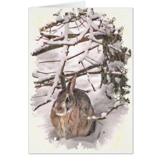 Snow Bunny Christmas Greeting Card