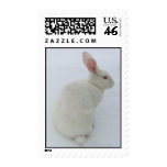 Snow Bunny Stamp