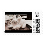 Snow Bunny Postage Stamp