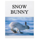SNOW BUNNY skiing joke flyers by jimbuf SNOW BUNNY skiing joke flyers