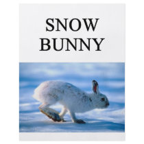 SNOW BUNNY skiing joke flyers by jimbuf SNOW BUNNY skiing joke flyers
