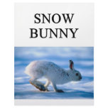 SNOW BUNNY skiing joke Letterhead