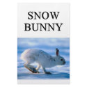 SNOW BUNNY skiing joke stationery by jimbuf SNOW BUNNY skiing joke stationery