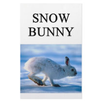 SNOW BUNNY skiing joke stationery by jimbuf SNOW BUNNY skiing joke stationery