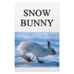 SNOW BUNNY skiing joke Stationery Design