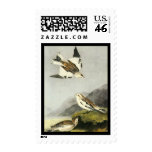 Snow Bunting - John James Audubon Stamps